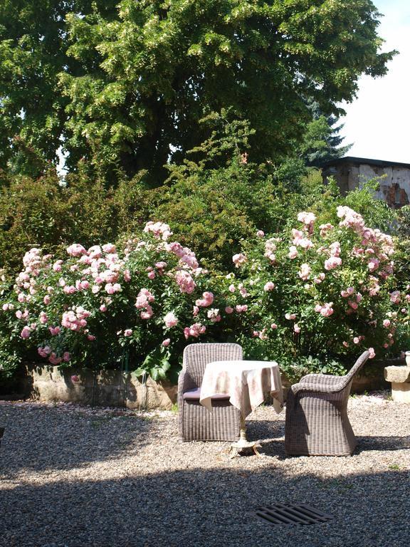 Pension Zur Koeniglichen Ausspanne Dresde Extérieur photo
